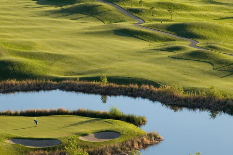 Navigating the Regulatory Fairway